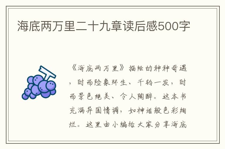 海底兩萬里二十九章讀后感500字