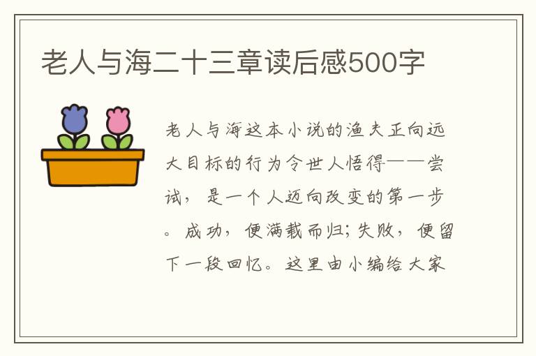 老人與海二十三章讀后感500字