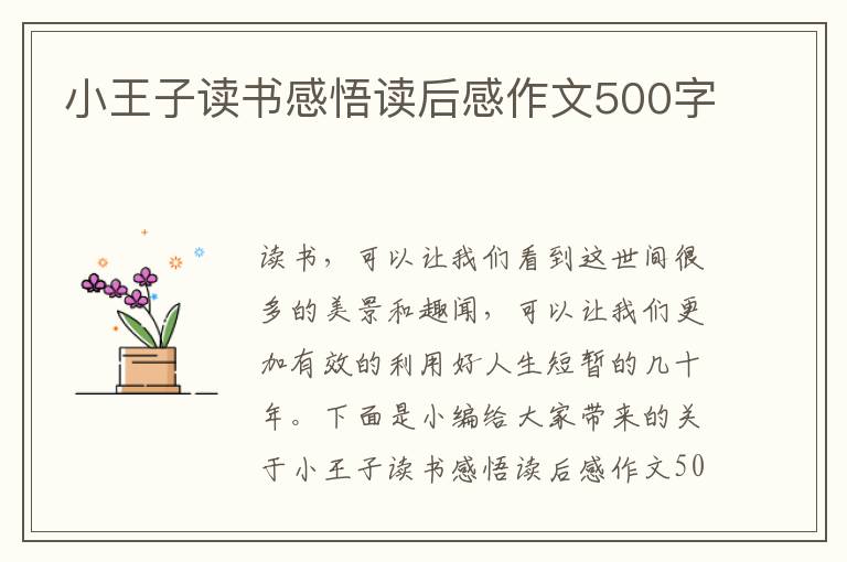 小王子讀書(shū)感悟讀后感作文500字