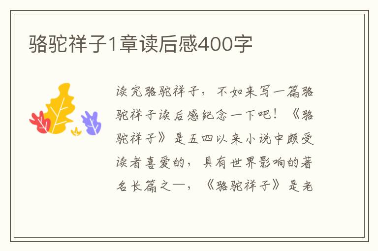 駱駝祥子1章讀后感400字