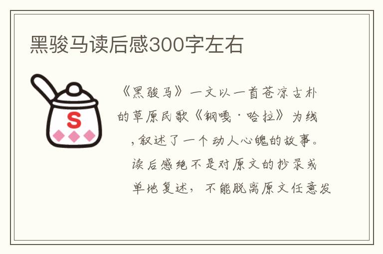 黑駿馬讀后感300字左右