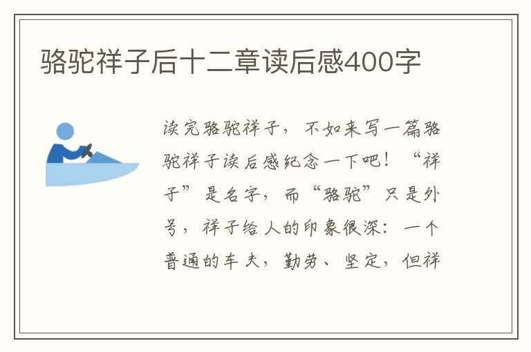 駱駝祥子后十二章讀后感400字