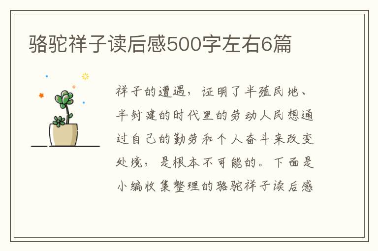 駱駝祥子讀后感500字左右6篇