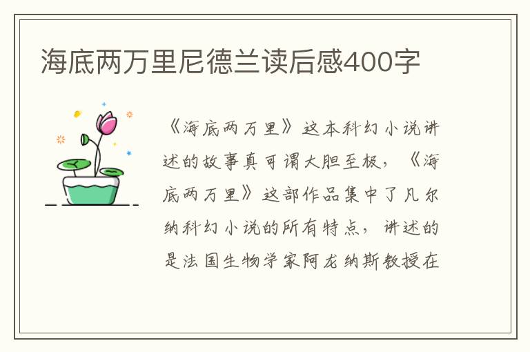 海底兩萬里尼德蘭讀后感400字