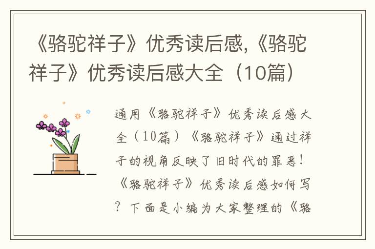 《駱駝祥子》優(yōu)秀讀后感,《駱駝祥子》優(yōu)秀讀后感大全（10篇）