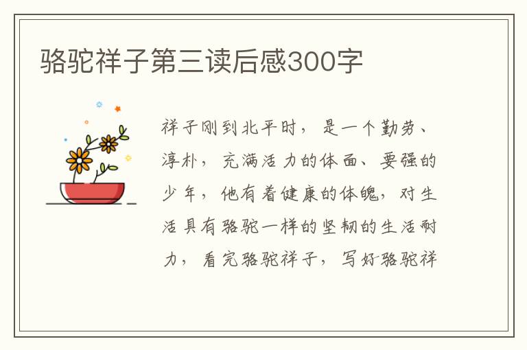 駱駝祥子第三讀后感300字