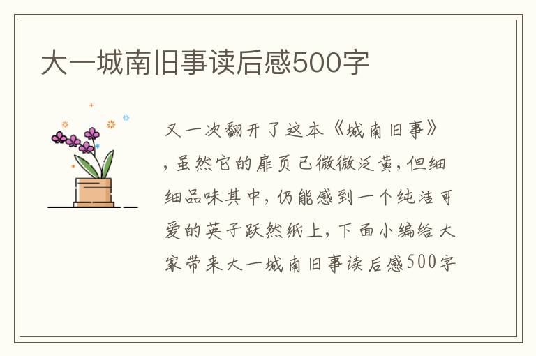 大一城南舊事讀后感500字