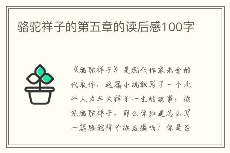 駱駝祥子的第五章的讀后感100字