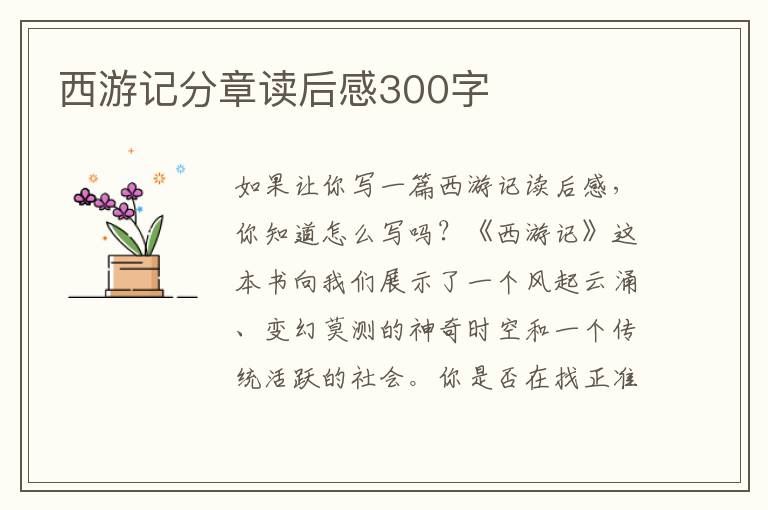 西游記分章讀后感300字