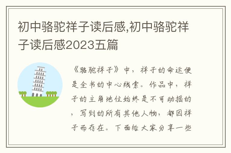 初中駱駝祥子讀后感,初中駱駝祥子讀后感2023五篇