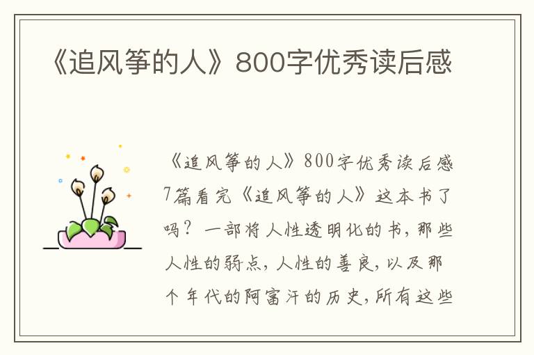 《追風(fēng)箏的人》800字優(yōu)秀讀后感