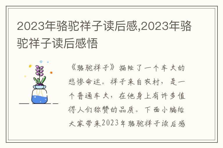 2023年駱駝祥子讀后感,2023年駱駝祥子讀后感悟