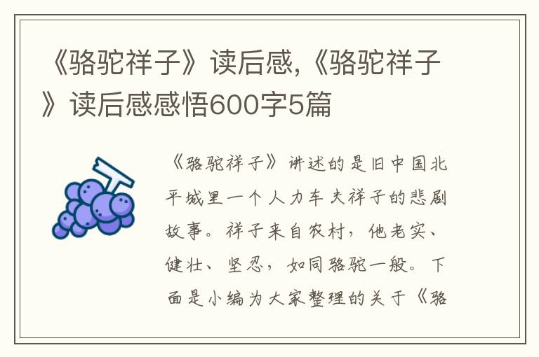 《駱駝祥子》讀后感,《駱駝祥子》讀后感感悟600字5篇