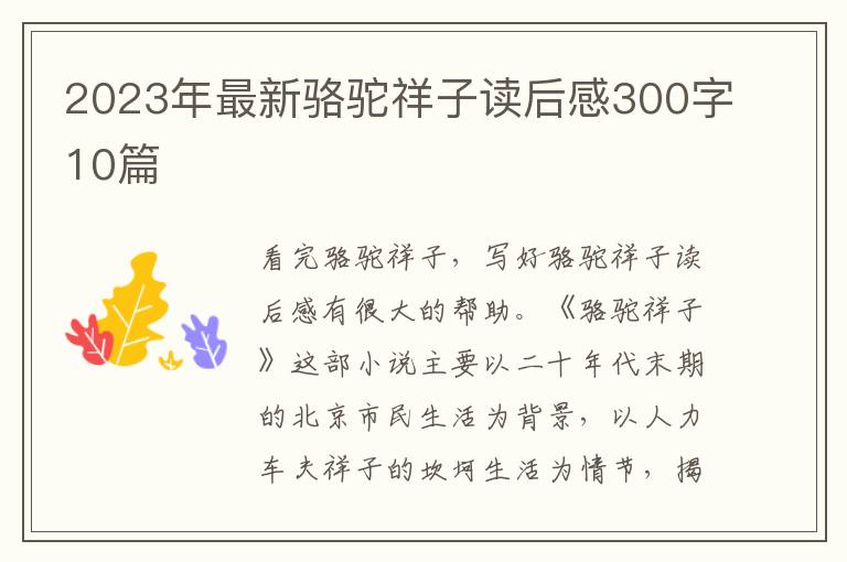 2023年最新駱駝祥子讀后感300字10篇