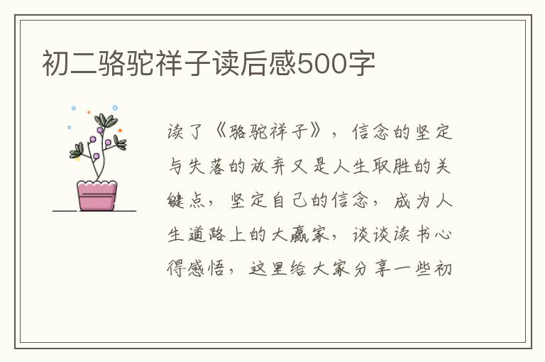 初二駱駝祥子讀后感500字