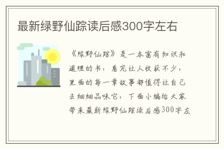 最新綠野仙蹤讀后感300字左右