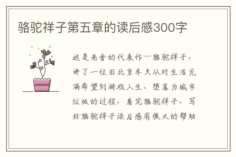 駱駝祥子第五章的讀后感300字