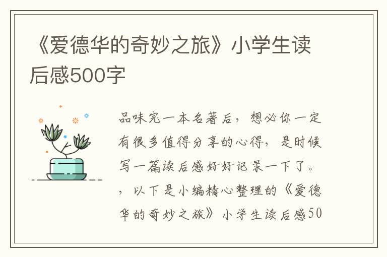 《愛(ài)德華的奇妙之旅》小學(xué)生讀后感500字