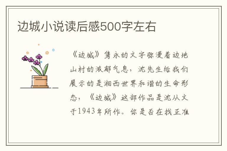 邊城小說讀后感500字左右