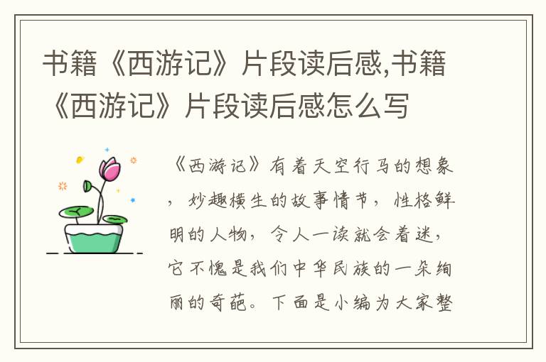 書籍《西游記》片段讀后感,書籍《西游記》片段讀后感怎么寫