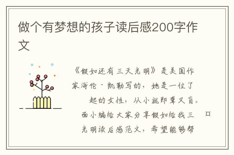 做個(gè)有夢(mèng)想的孩子讀后感200字作文