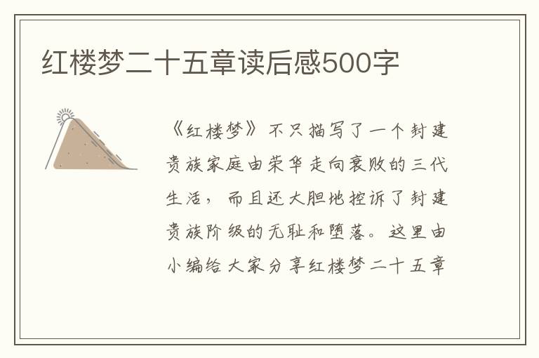 紅樓夢二十五章讀后感500字