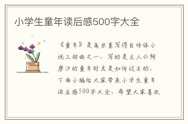 小學(xué)生童年讀后感500字大全