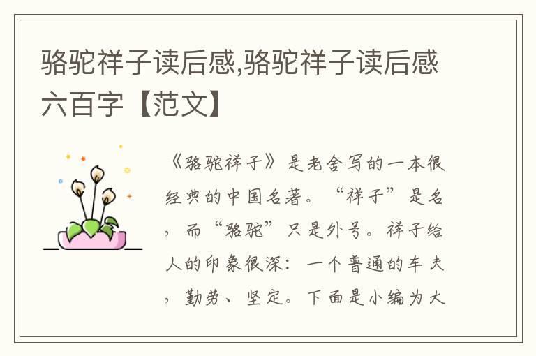 駱駝祥子讀后感,駱駝祥子讀后感六百字【范文】