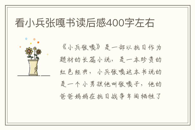 看小兵張嘎書讀后感400字左右