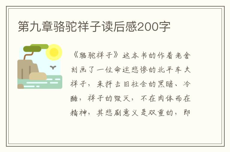 第九章駱駝祥子讀后感200字