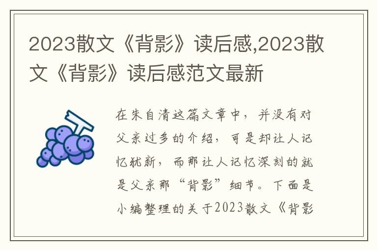 2023散文《背影》讀后感,2023散文《背影》讀后感范文最新