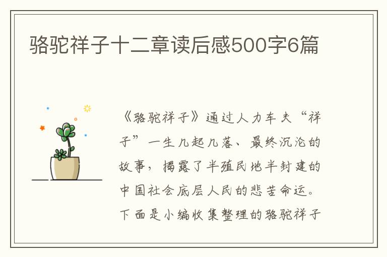 駱駝祥子十二章讀后感500字6篇