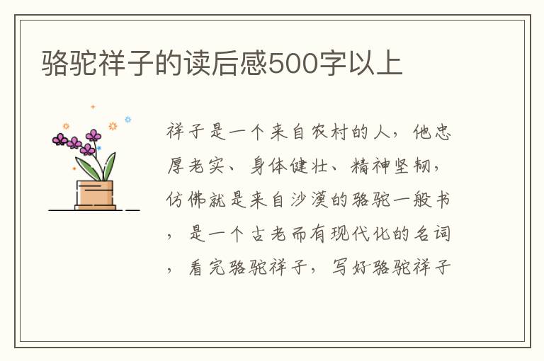 駱駝祥子的讀后感500字以上