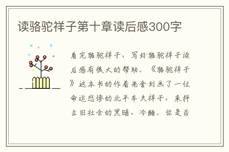 讀駱駝祥子第十章讀后感300字