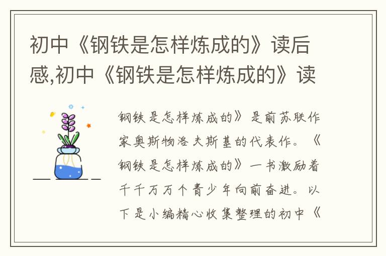 初中《鋼鐵是怎樣煉成的》讀后感,初中《鋼鐵是怎樣煉成的》讀后感作文