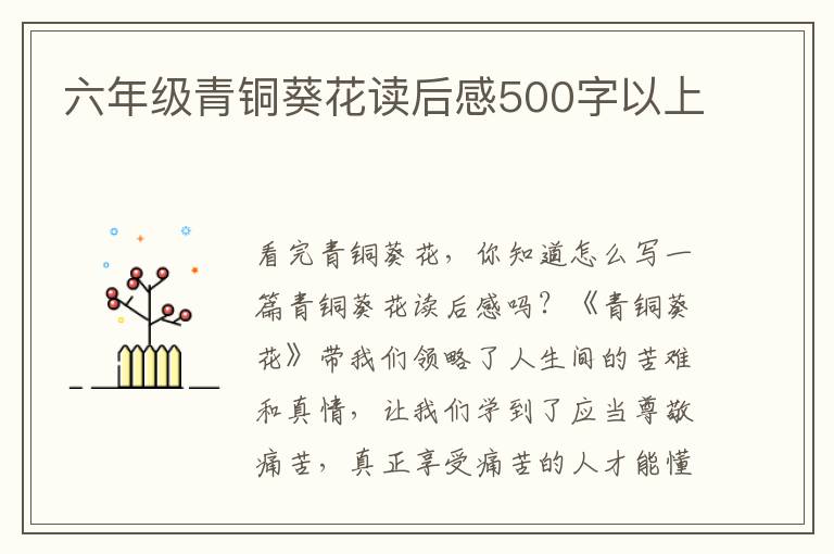 六年級青銅葵花讀后感500字以上