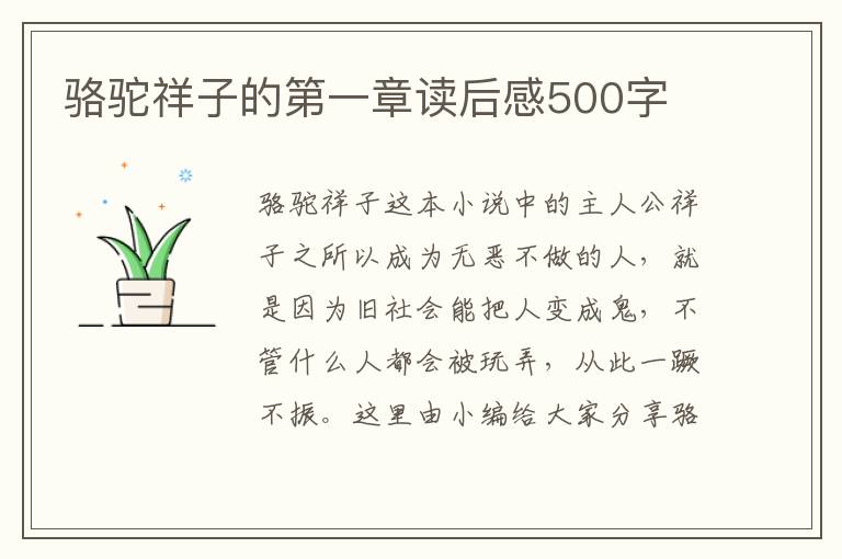 駱駝祥子的第一章讀后感500字