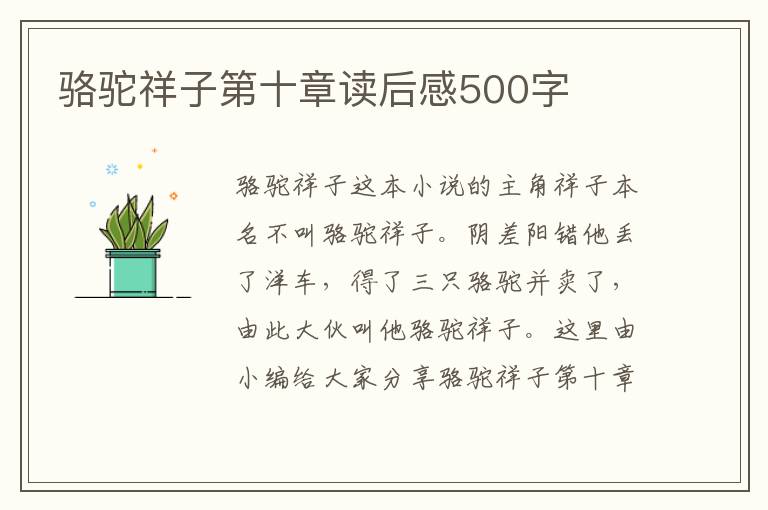 駱駝祥子第十章讀后感500字