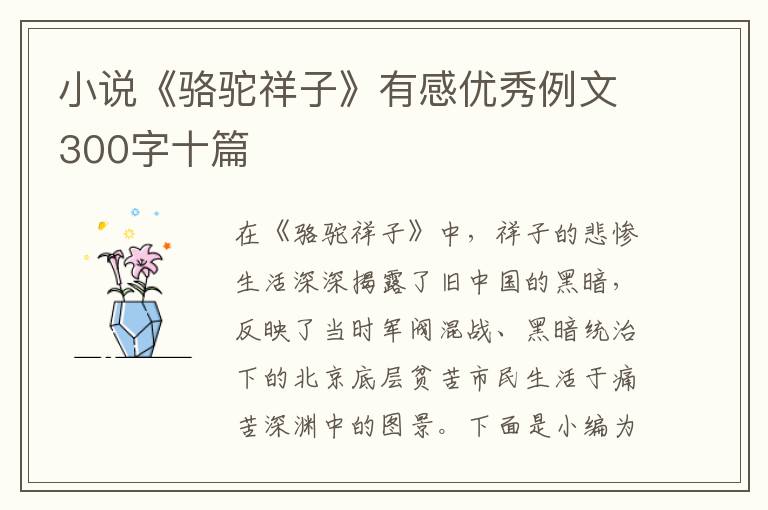 小說(shuō)《駱駝祥子》有感優(yōu)秀例文300字十篇