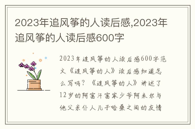 2023年追風(fēng)箏的人讀后感,2023年追風(fēng)箏的人讀后感600字