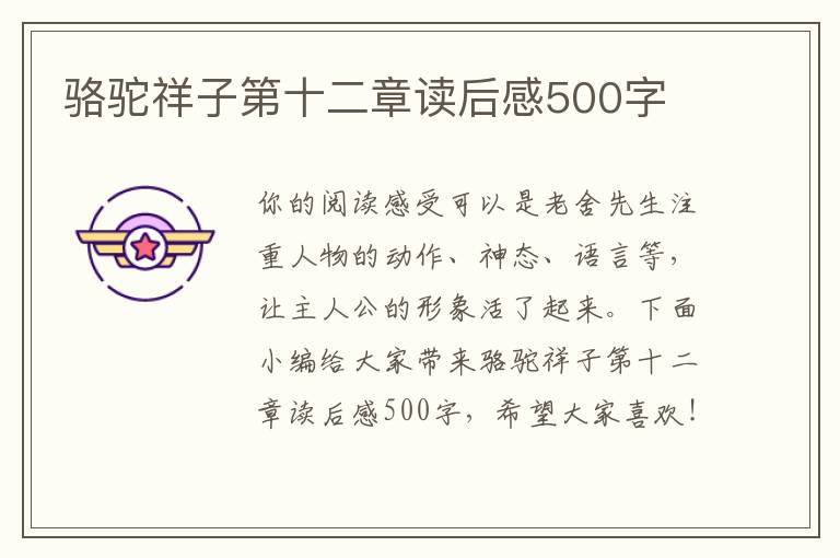 駱駝祥子第十二章讀后感500字