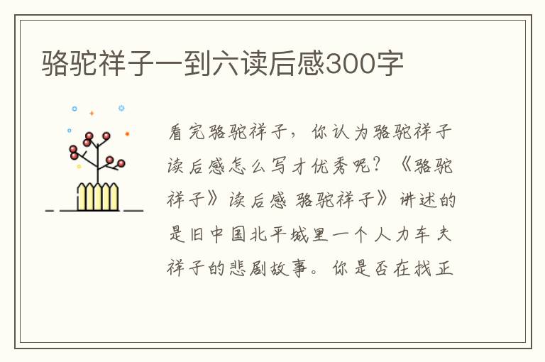 駱駝祥子一到六讀后感300字