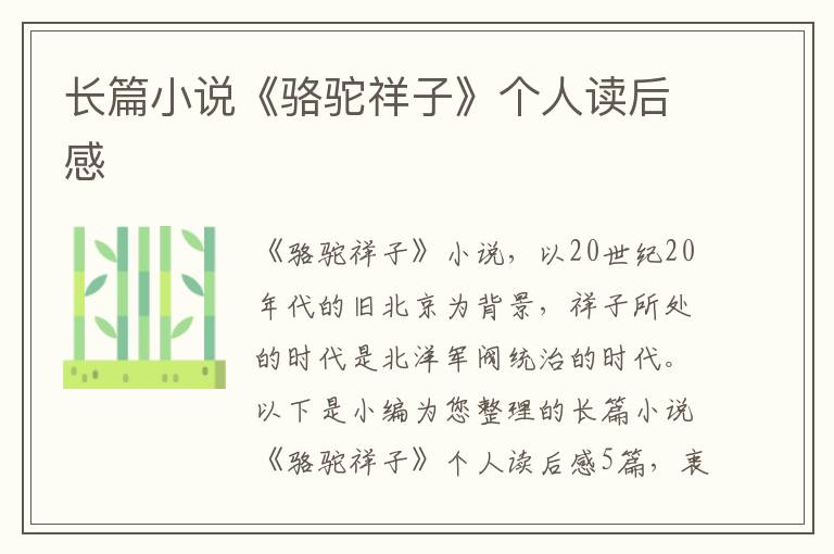 長篇小說《駱駝祥子》個(gè)人讀后感