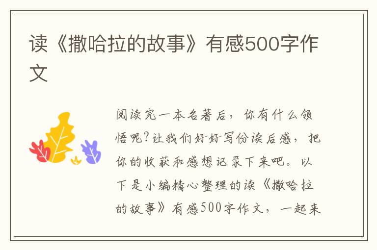 讀《撒哈拉的故事》有感500字作文