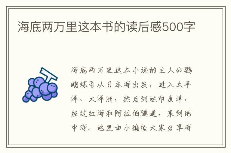 海底兩萬里這本書的讀后感500字