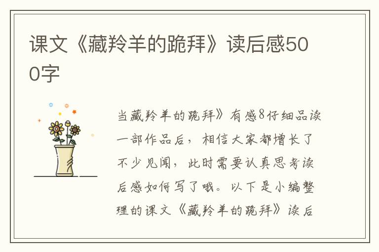 課文《藏羚羊的跪拜》讀后感500字