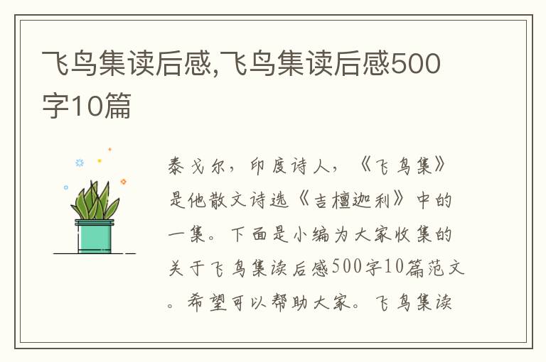 飛鳥(niǎo)集讀后感,飛鳥(niǎo)集讀后感500字10篇