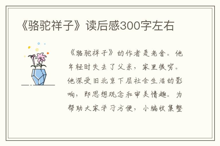 《駱駝祥子》讀后感300字左右