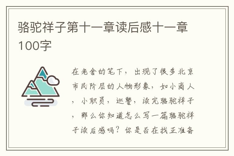 駱駝祥子第十一章讀后感十一章100字