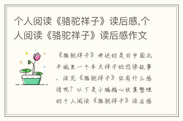 個(gè)人閱讀《駱駝祥子》讀后感,個(gè)人閱讀《駱駝祥子》讀后感作文